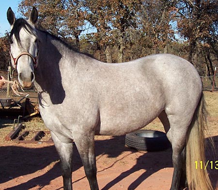 Cheyenne