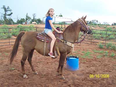 Dimples under saddle, Oct 2008