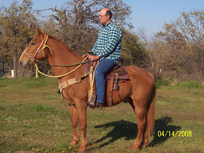 Goliath, April 2008