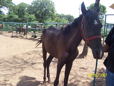 Haley, August 2007