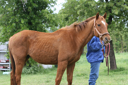 Levi, May 2009