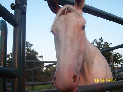 Libby, Summer 2008