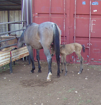 Sandy and Cheyenne