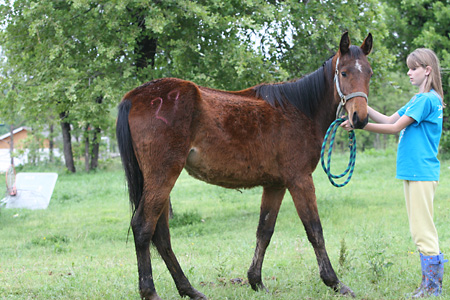 Sasha, May 2009