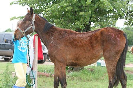 Sasha, May 2009