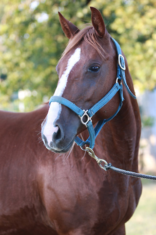 Sissy, June 2009