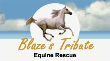 Blaze's Tribute Equine Rescue