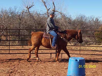 Work under saddle