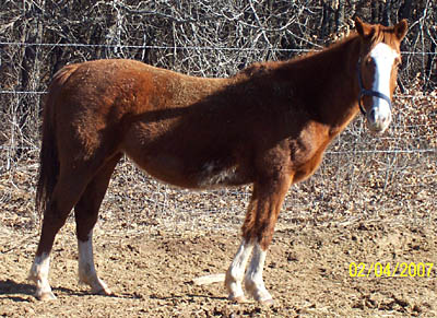 Cherokee, Feb 2007