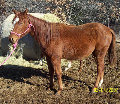 Margarita, Feb 2007