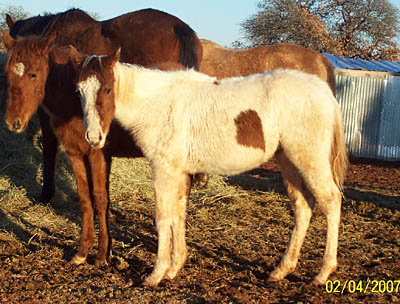 Meredith, Feb 2007
