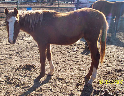 Reno, Feb 2007