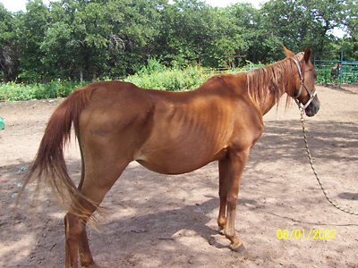 Jasmine, August 2007